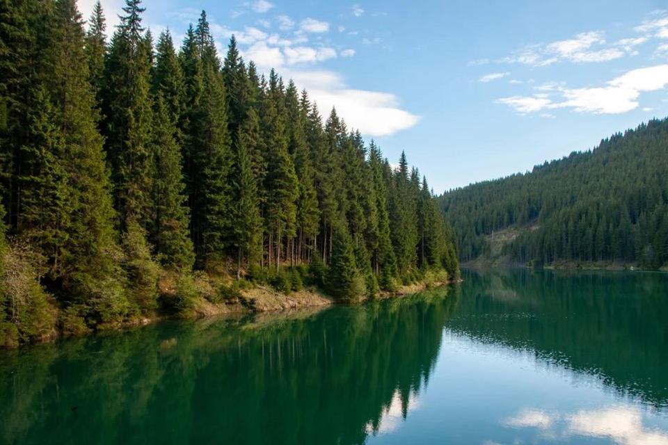 Camping Aviator, Numai Teren, Campare Pentru Rulote Autorulote Personale, Campingul Nu Are Rulote !!! Buşteni Extérieur photo